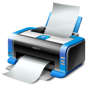 Printer 256